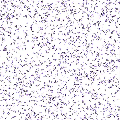 Particles aligning into flocks under the sampled neighbor rule