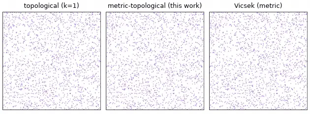 Three swarm simulations side by side from the same disordered start: under the topological rule the agents stay scattered in tiny pairs, under the sampled metric-topological rule and the metric Vicsek reference they form large streams