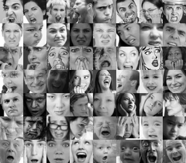 A grid of 56 small grayscale faces from FER2013, eight per row, one row per emotion: angry, disgust, fear, happy, neutral, sad, surprise